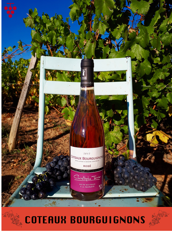 Coteaux Bourguignons