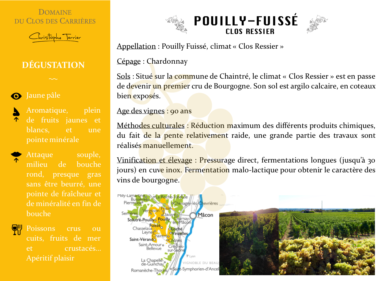 Fiche technique Pouilly Fuissé