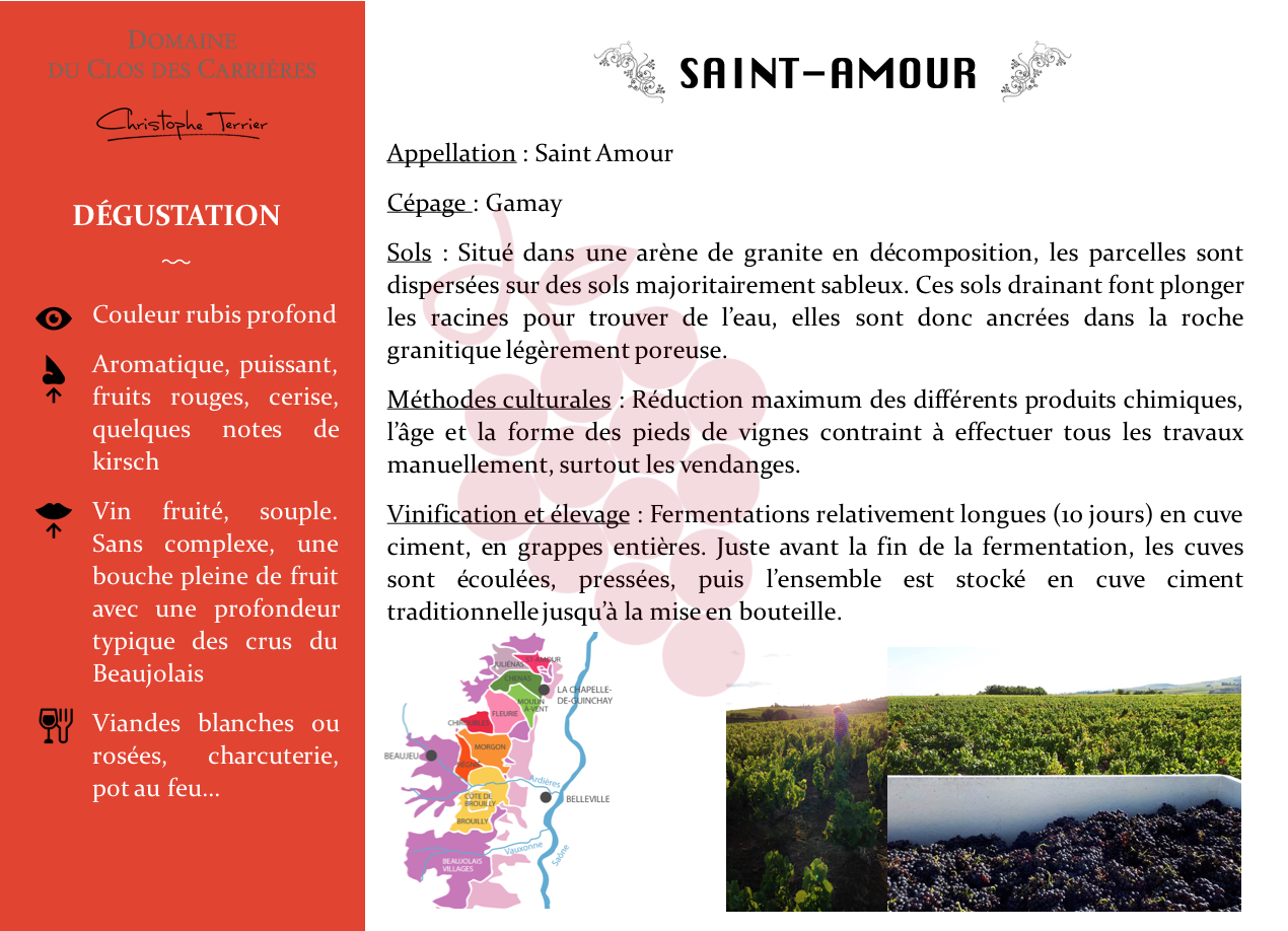 Fiche technique Saint Amour