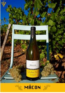 Mâcon