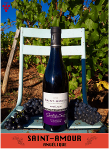 Saint Amour Angélique